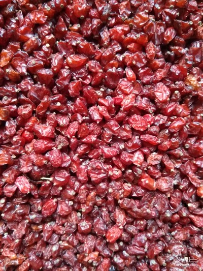 فروش زرشک قرمز اناری