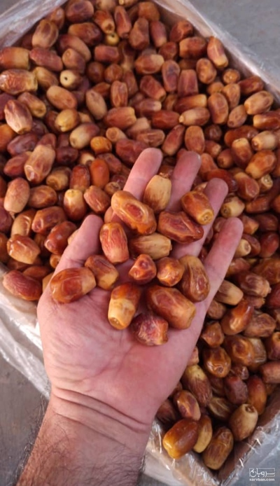 فروش خرما زاهدی