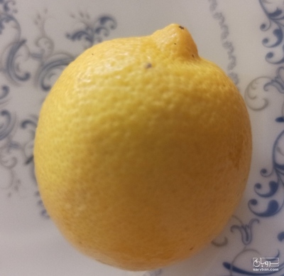 فروش لیمو سنگی