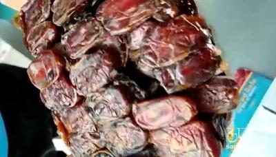 فروش خرما کبکاب