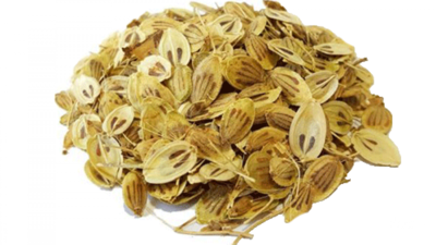 خرید گلپر