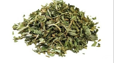 خرید کاسنی