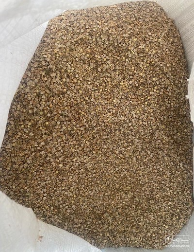 فروش تخم گشنیز