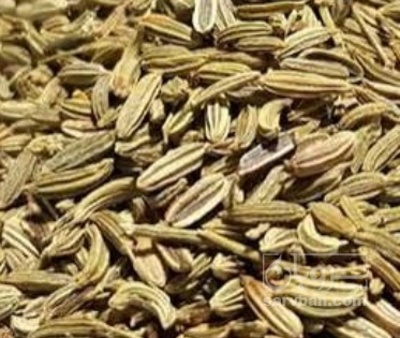 فروش رازیانه (گیاه‌ دارویی)