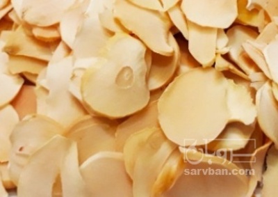 فروش موسیر پرک