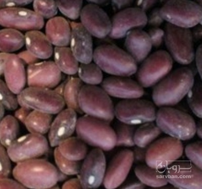 فروش لوبیا قرمز