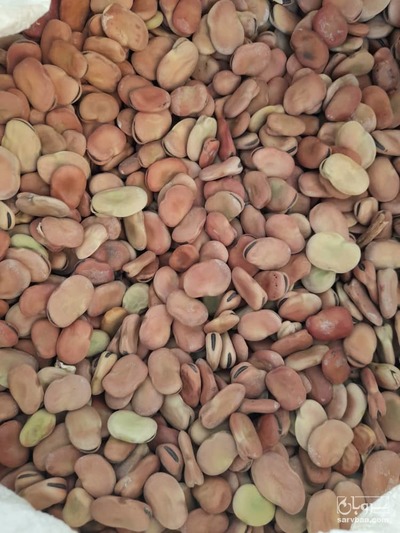 فروش باقلا خشک