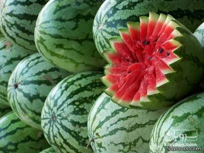 خرید هندوانه