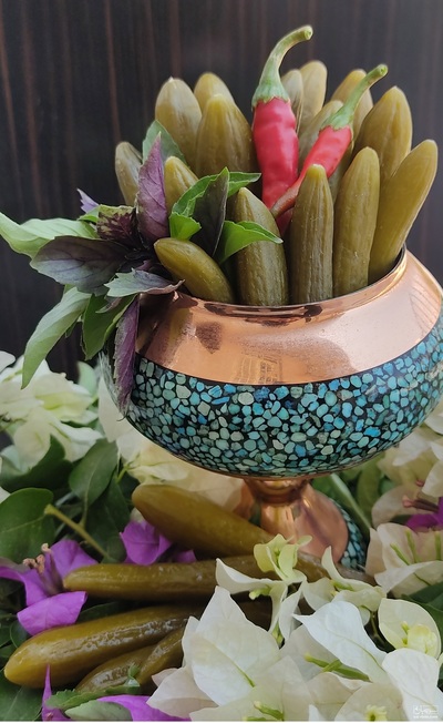 فروش خیار شور