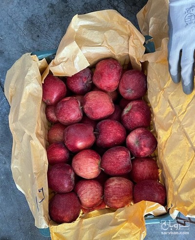 فروش سیب قرمز