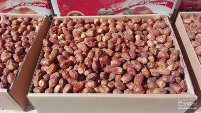 فروش خرما زاهدی