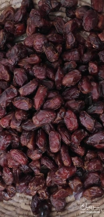 فروش خرما شکری