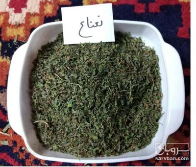فروش نعناع خشک