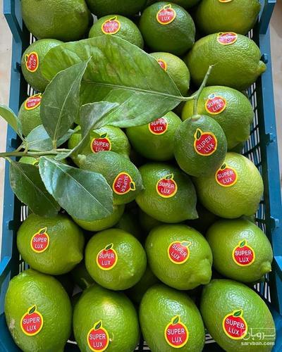 فروش لیموترش سنگی