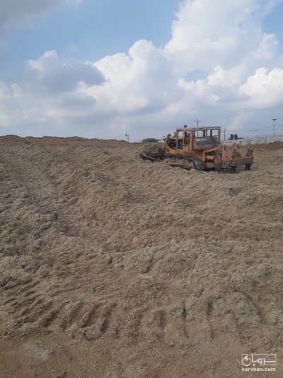 فروش کاه نیشکر فله