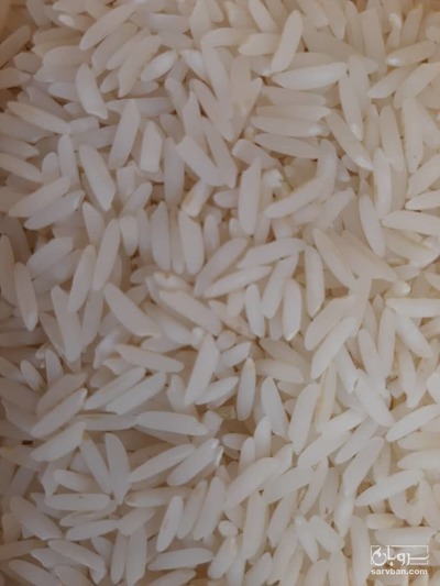 فروش برنج شیرودی