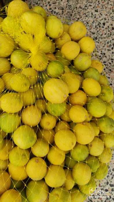 فروش لیموترش