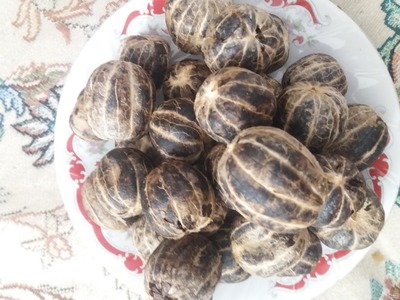 فروش لیمو خشک توپی ببری