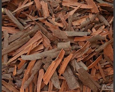 فروش چوب دارچین