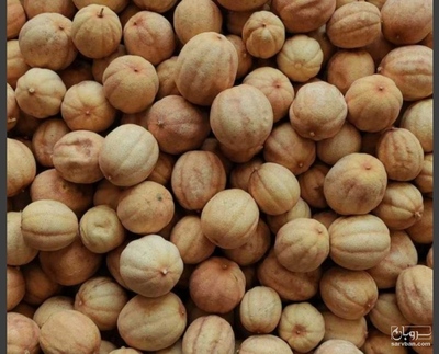 فروش لیمو عمانی