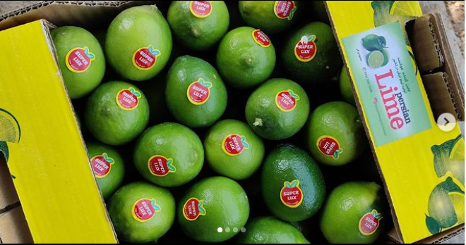 فروش لیموترش برزیلی (پرشین لایم)