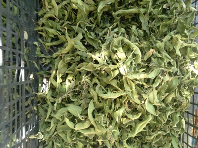 فروش به لیمو (ورون)