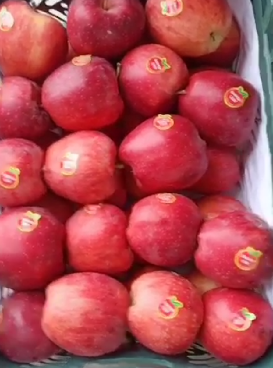 فروش سیب قرمز