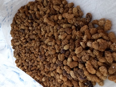 فروش توت درختی خشک کرج