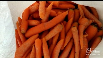 فروش هویج شکسته