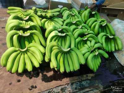 فروش موز پاکستان