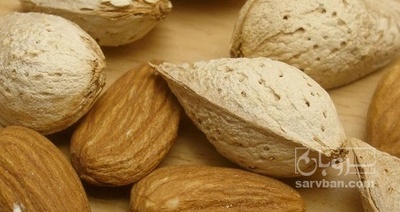 فروش بادام سنگی