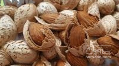 فروش بادام شاهرودی