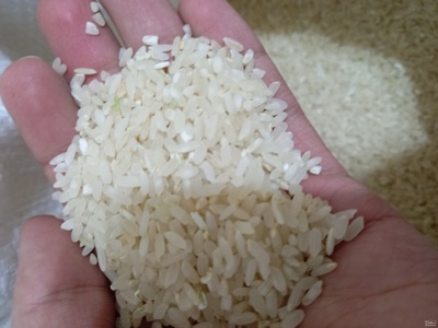 فروش برنج