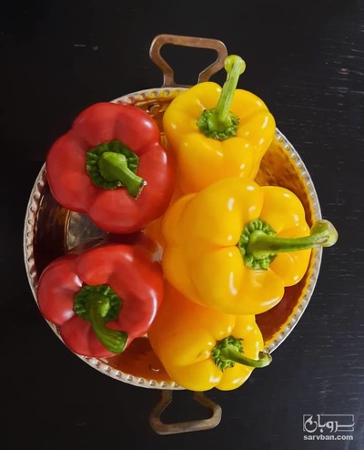 فروش فلفل دلمه ای رنگی