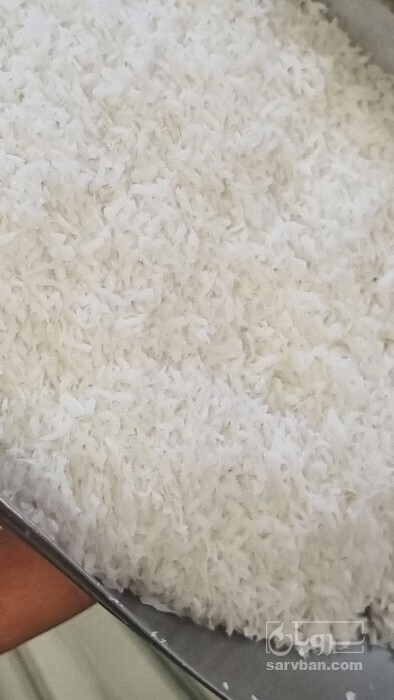 فروش پودر نارگیل