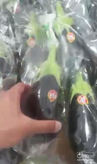 فروش بادمجان لامپی صادراتی