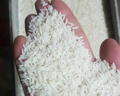 فروش برنج
