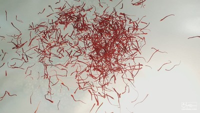 فروش زعفران