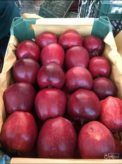 فروش سیب