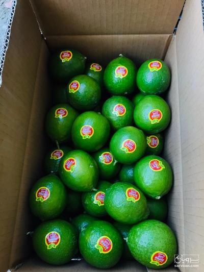 فروش لیموترش برزیلی