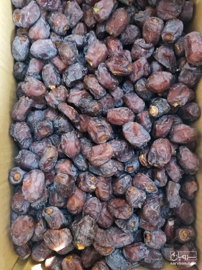 فروش خرما شاهانی