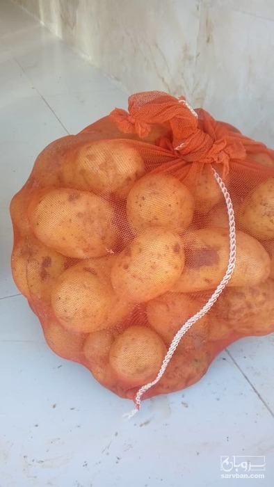 فروش سیب زمینی اگریا سورت شده