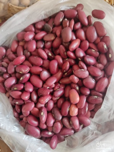 فروش لوبیا قرمز