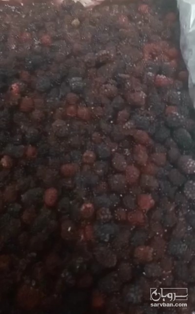 فروش بلک بری منجمد