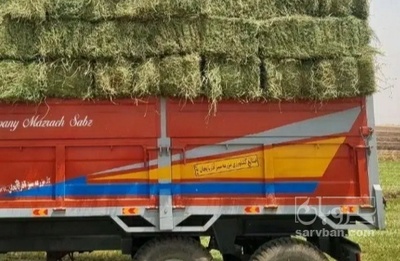 فروش یونجه