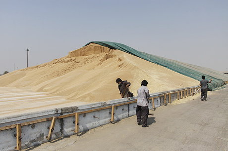 فروش جو