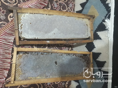 فروش انواع عسل