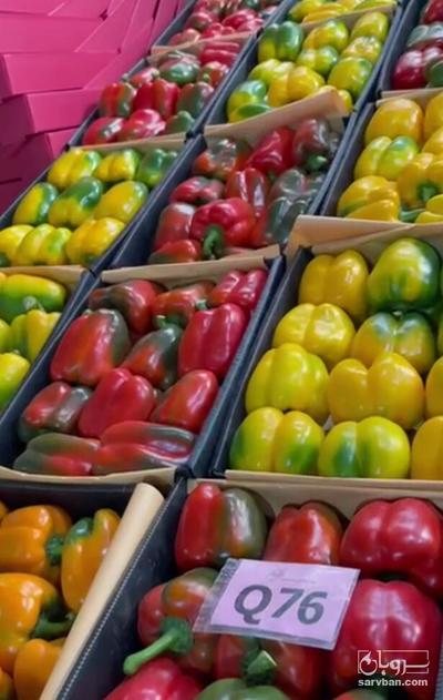 فروش فلفل دلمه ای