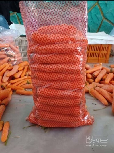 فروش هویج