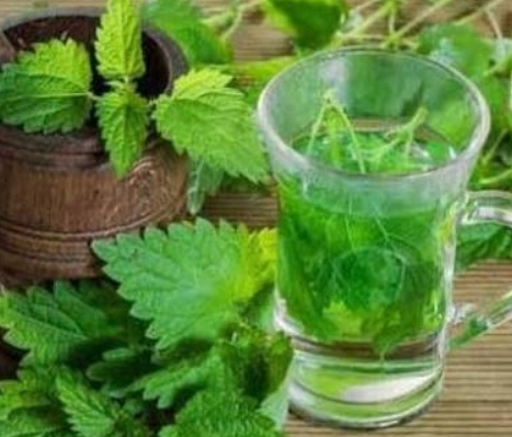 فروش عرق نعناع